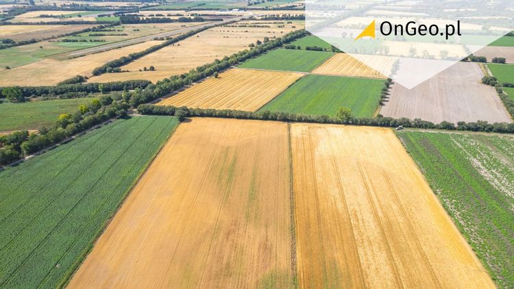 Nowelizacja ustawy o udostępnianiu danych przestrzennych ARiMR - co to oznacza dla rolnictwa i obywateli