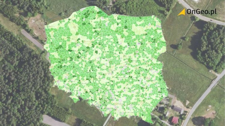 Wyścig z czasem, stan prac nad planami ogólnymi: czerwiec 2026