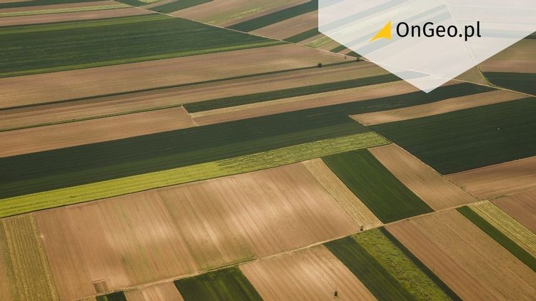 Projekt ustawy, który może wywrócić rynek gruntów rolnych do góry nogami