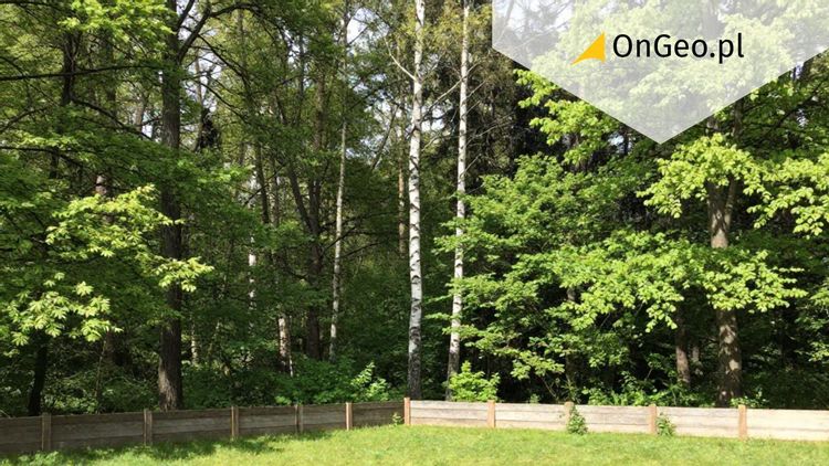 Las prywatny a państwowy - czy ma znaczenie przy budowie domu?