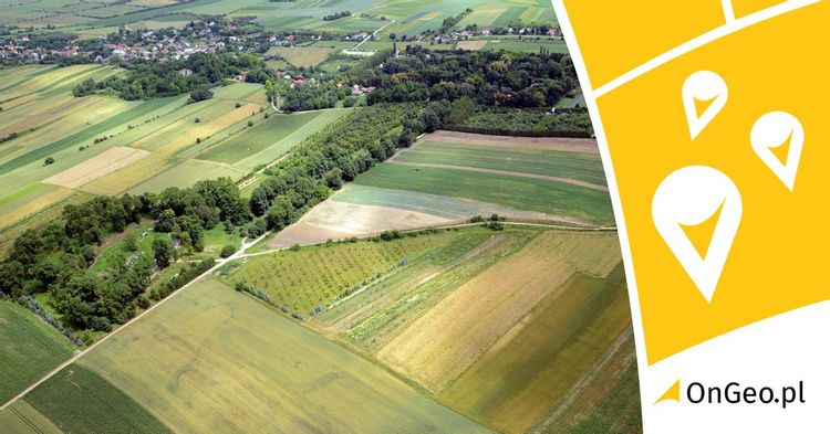 Scalenie gruntów rolnych- na czym to polega? 