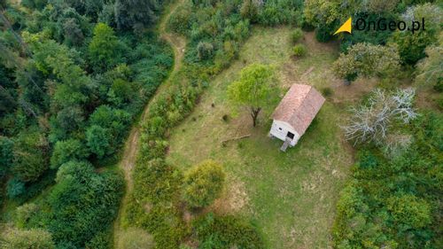 Nieruchomość Działka leśna - czy można wybudować dom na działce leśnej?