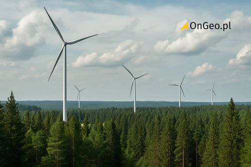 Nieruchomość Farmy wiatrowe w lasach – NIK: Lasy Państwowe działały niezgodnie z prawem