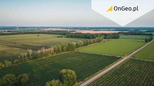 Nieruchomość Hektar ile arów? Ar, hektar i m² - przelicznik powierzchni działki